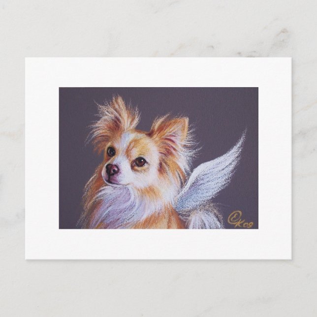 Postal Chihuahua Angel (Anverso)