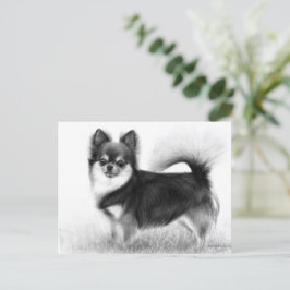 Postal Chihuahua - Bella Artes original