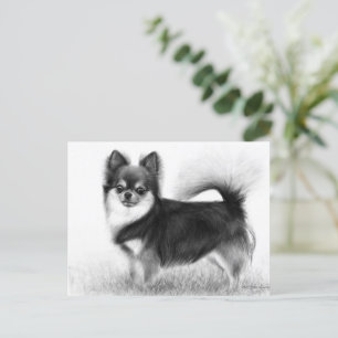 Postal Chihuahua - Bella Artes original