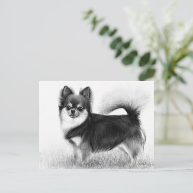 Postal Chihuahua - Bella Artes original (Anverso de pie)