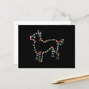 Postal Chihuahua con Navidades y amantes de los perros il
