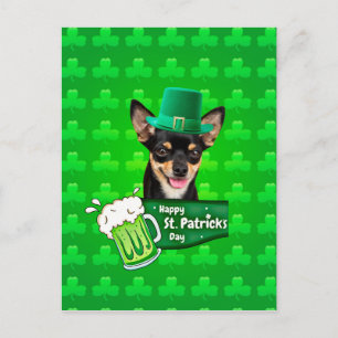 Postal Chihuahua Cuppy Dog St. Patrick's Day Green Clover
