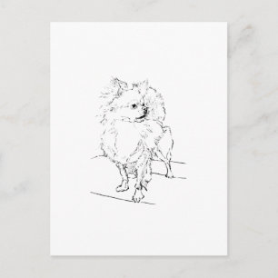 Postal Chihuahua de pelo largo - Ilustración de perro min