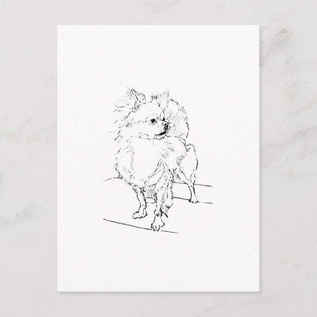 Postal Chihuahua de pelo largo - Ilustración de perro min (Anverso)
