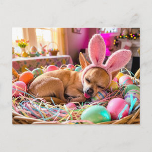 Postal Chihuahua durmiendo en una cesta de Pascua
