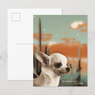 Postal Chihuahua en el desierto