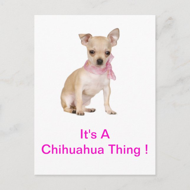 Postal Chihuahua es un chihuahua (Anverso)