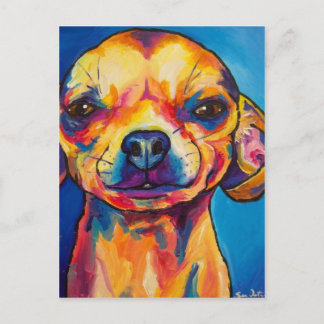 Postal Chihuahua Fawn-Stoli