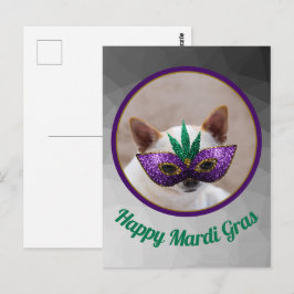 Postal Chihuahua lindo Feliz Mardi Gras brillante foto de