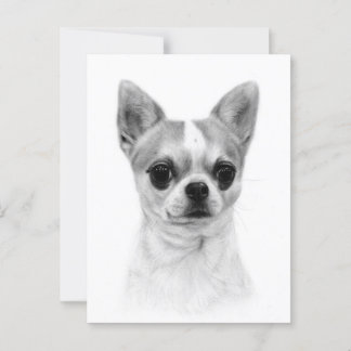 Postal Chihuahua - Obra de arte Mascota pintada a mano