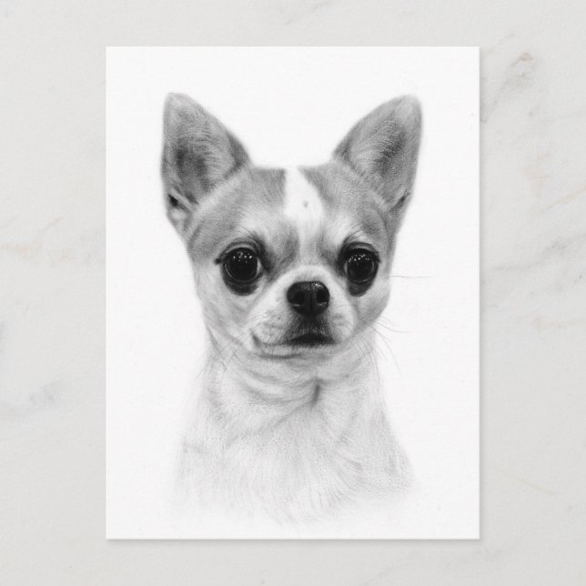 Postal Chihuahua - Obra de arte Mascota pintada a mano (Anverso)