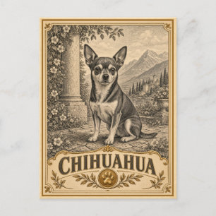 Postal Chihuahua, Perro Patrimonio Vintage