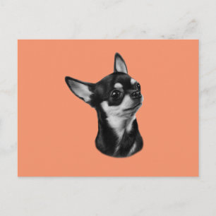 Postal Chihuahua pintada a mano