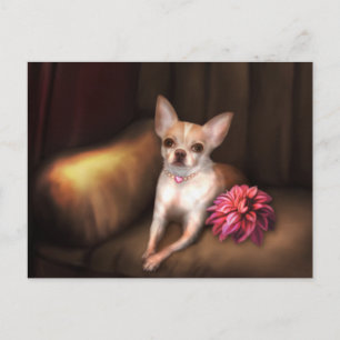 Postal "Chihuahua Portrait I" de Jaguarwoman
