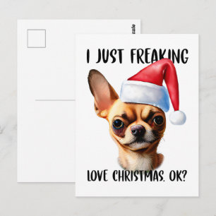 Postal Chihuahua, sólo me asusta el amor de los Navidades