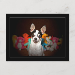 Postal Chihuahua y juguetes