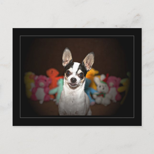Postal Chihuahua y juguetes (Anverso)