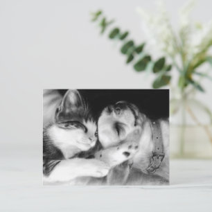 Postal Chihuahua y la pintura al gato ganadora del premio