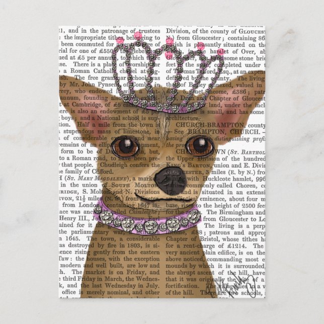 Postal Chihuahua Y Tiara (Anverso)