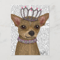Chihuahua Y Tiara