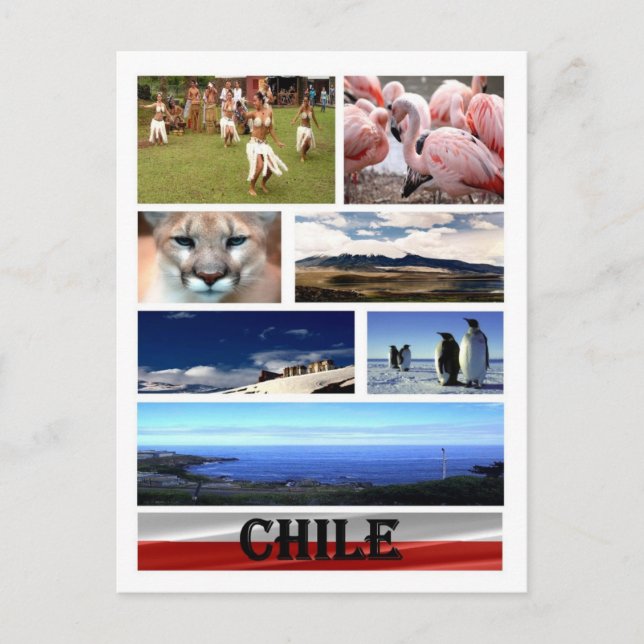 Postal Chile - Mosaico - (Anverso)