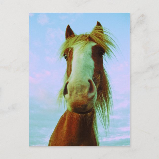 Postal Chili (Anverso)