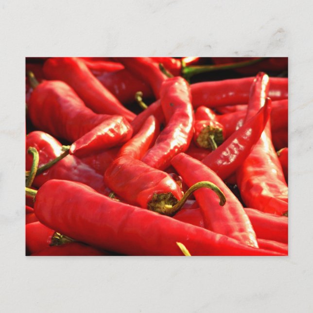 Postal Chili rojo caliente (Anverso)