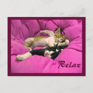 Postal Chill Bill y Relax Max