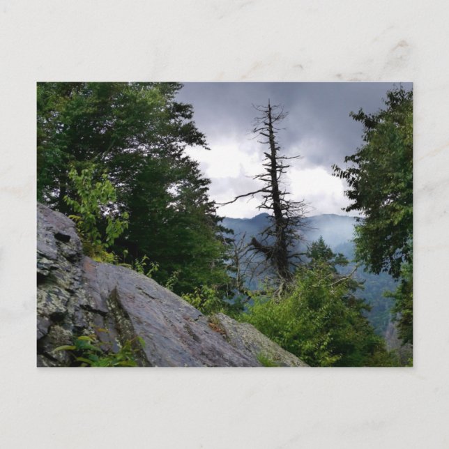 Postal Chimney Tops grandes montañas de humo (Anverso)