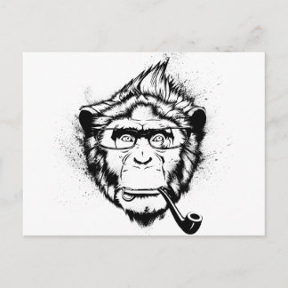 Postal Chimpancé característico