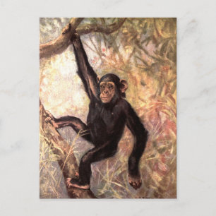 Postal Chimpancé por CE Swan, Animales Salvajes de la Jun