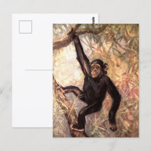 Postal Chimpancé por CE Swan, Animales Salvajes de la Jun
