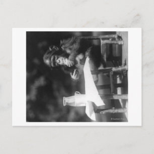 Postal Chimpancé sentado en la mesa en el zoológico nacio