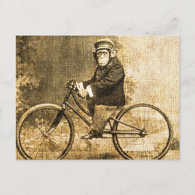 Postal Chimpancé vintage en una bicicleta (Anverso)