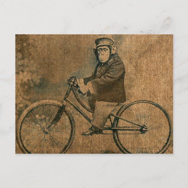 Postal Chimpancé vintage montando una bicicleta (Anverso)