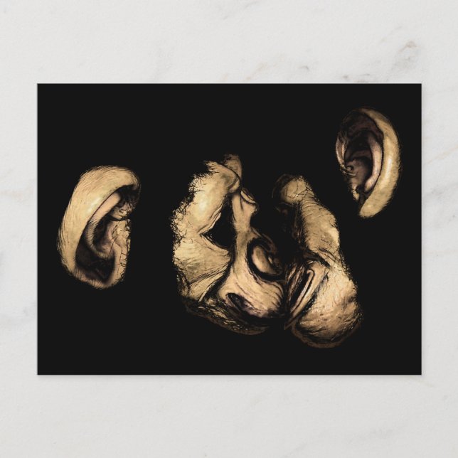 Postal chimpancés besándose (Anverso)