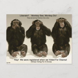 Postal Chimpancés Para Un Chump