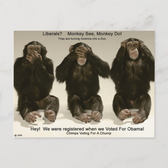 Postal Chimpancés Para Un Chump (Anverso)