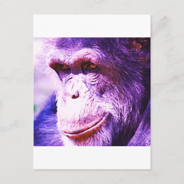Postal Chimpanzee (Anverso)