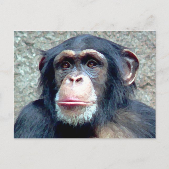 Postal Chimpanzee (Anverso)