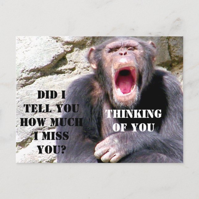 Postal Chimpanzee_ (Anverso)