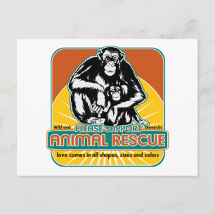 Postal Chimpanzee de Rescate Animal