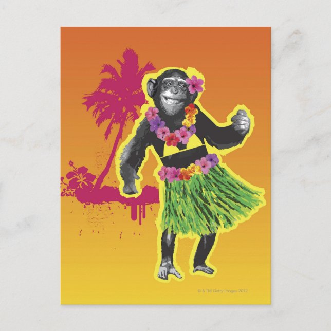 Postal Chimpanzee Hula Dancing (Anverso)