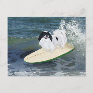 Postal Chin Japonés Surfing