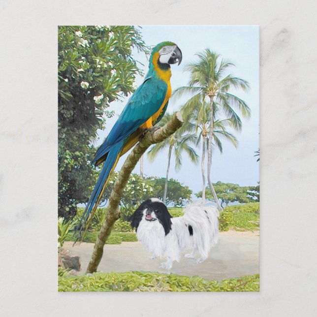 Postal Chin japonés y guacamayo (Anverso)