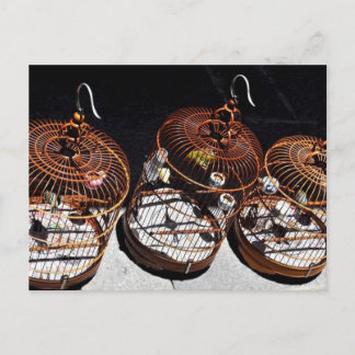 Postal china: 3 pájaros pequeños