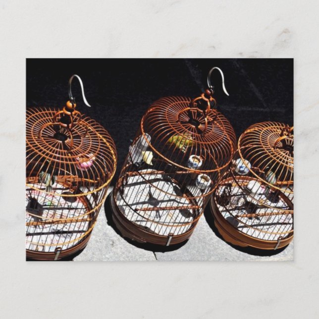 Postal china: 3 pájaros pequeños (Anverso)