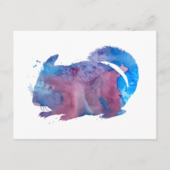 Postal Chinchilla (Anverso)