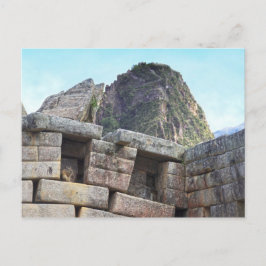 Postal Chinchilla en Machu Picchu, Perú