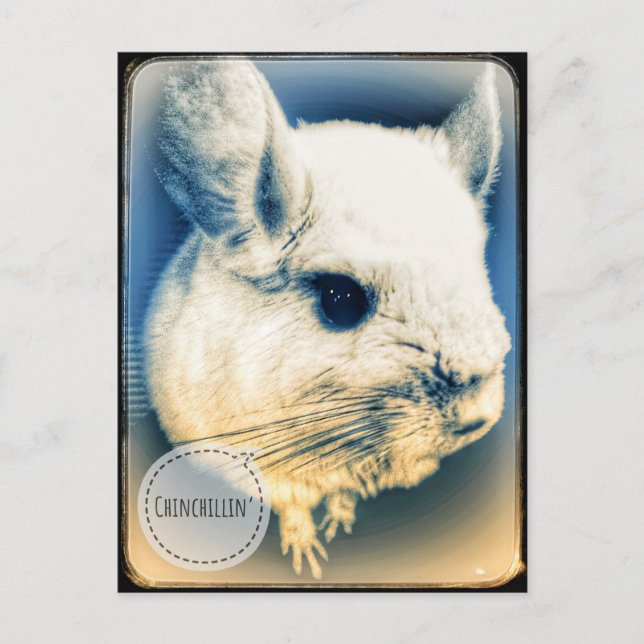 Postal Chinchillin FullSizeRender (Anverso)